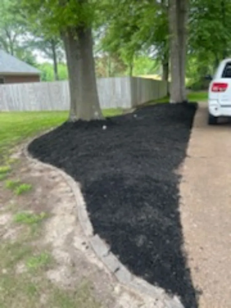 Trusted landscape installation for year-round maintenance across Jackson, TN - Bp Mowing & Company