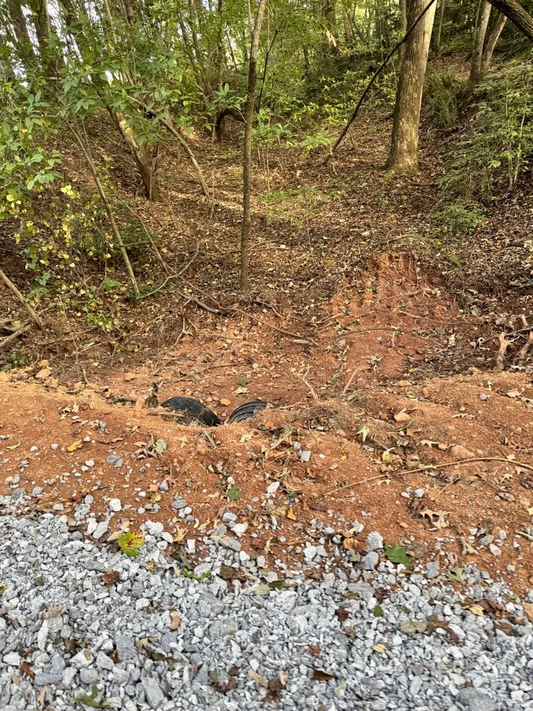 Top-rated outdoor landscaping near you in Dahlonega, GA by BP Septic