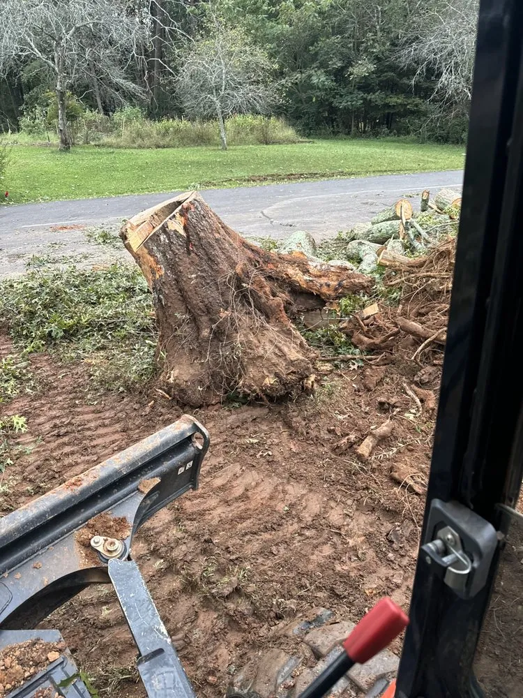 Local yard maintenance for beautiful yards across Dahlonega, GA - BP Septic