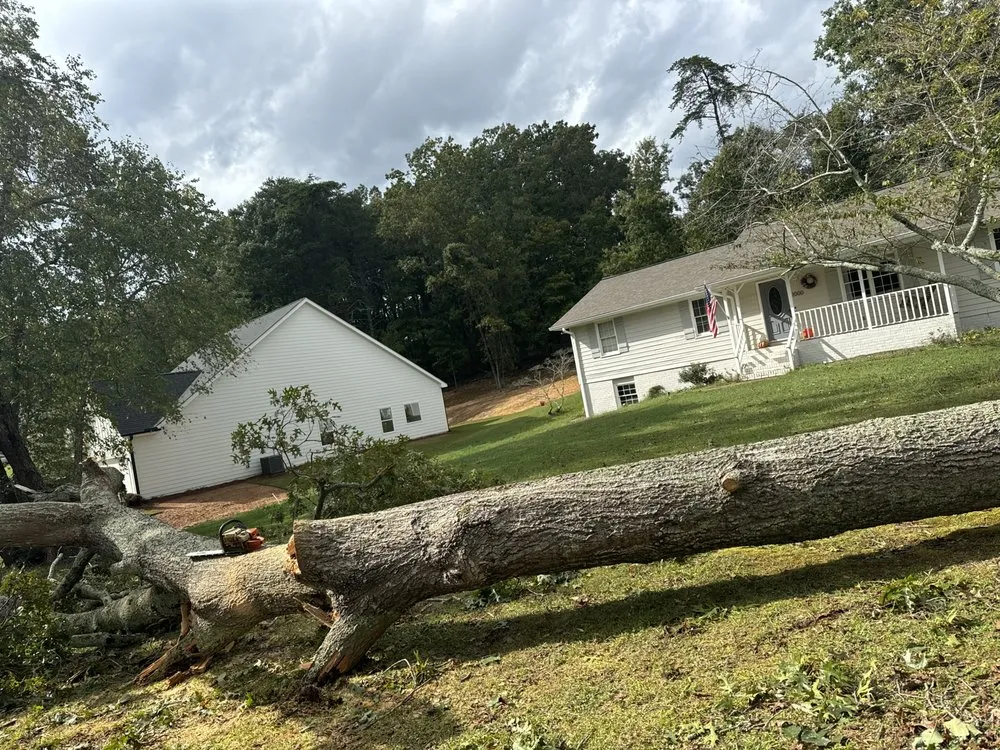 Reliable lawn care service for outdoor upgrades across Dahlonega, GA - BP Septic