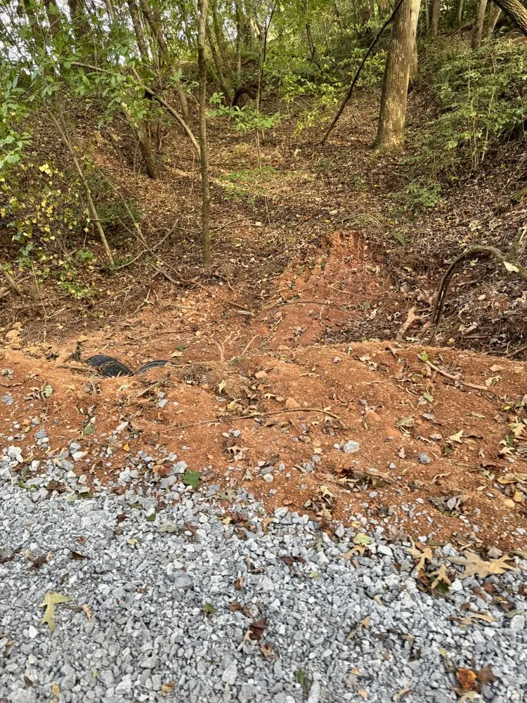 Affordable landscaping services for homes in Dahlonega, GA by BP Septic