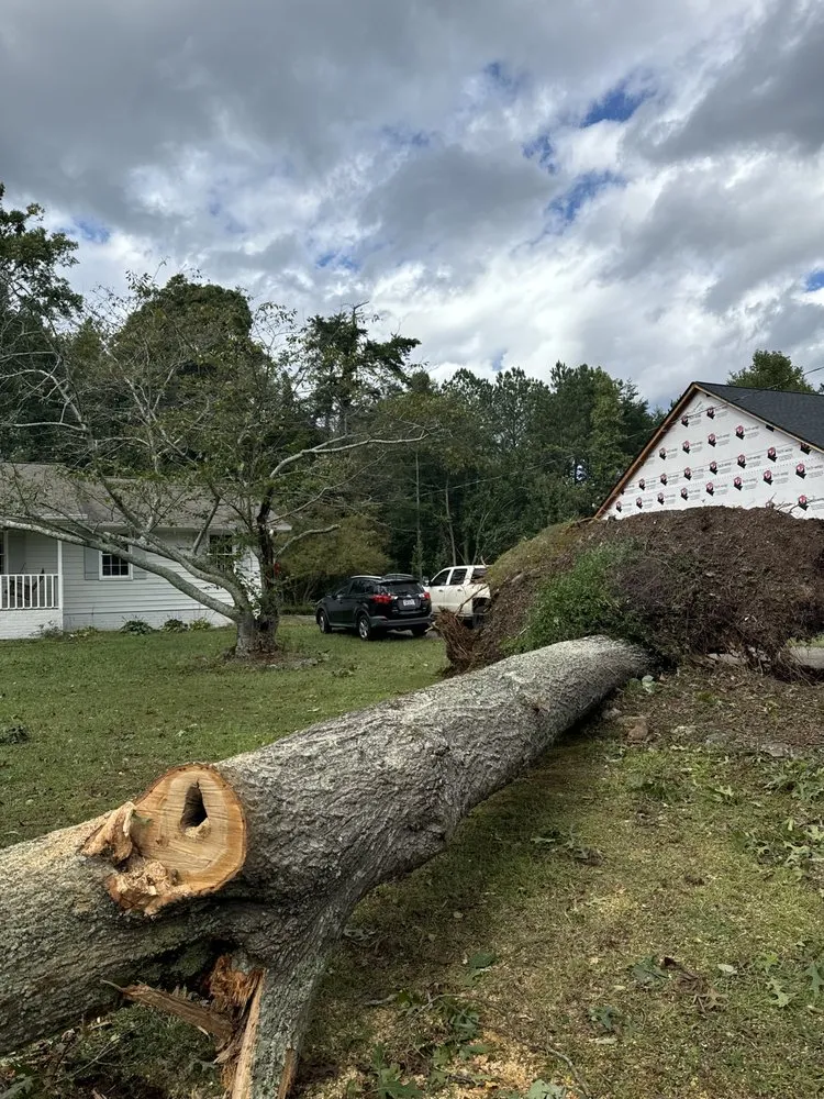 Reliable lawn mowing service experts serving Dahlonega, GA - BP Septic