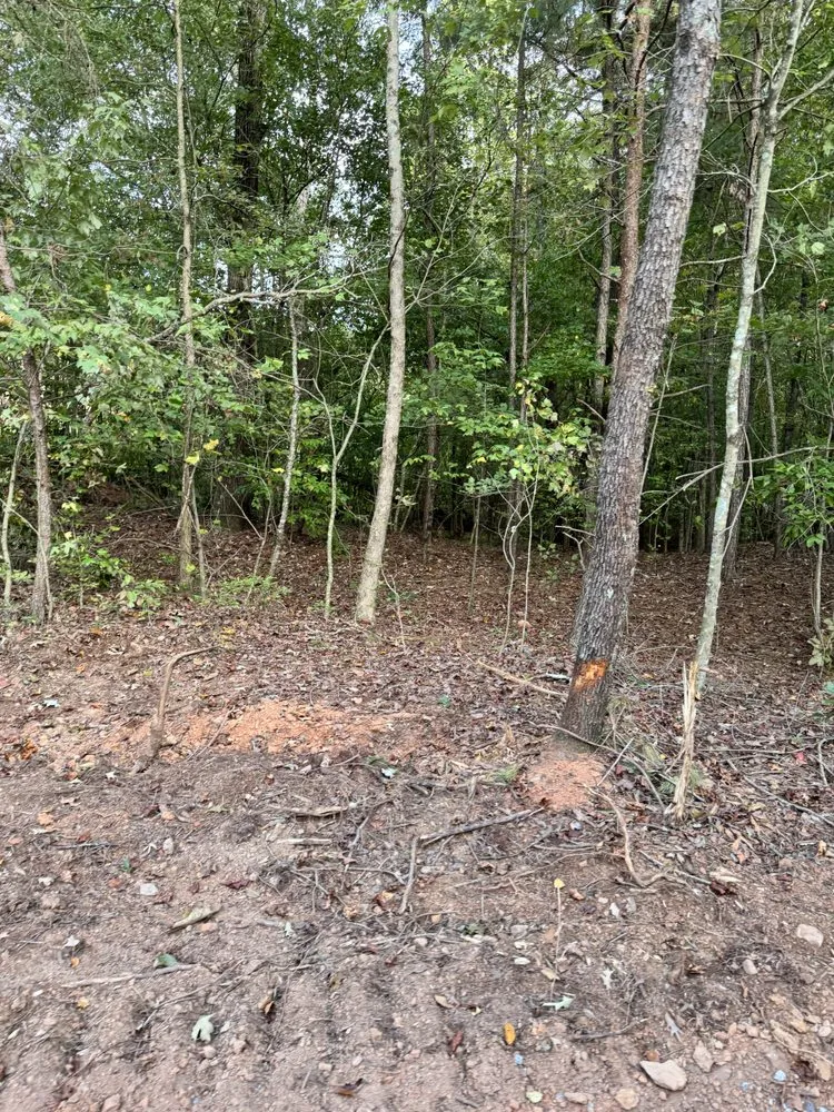 Custom yard cleanup service in Dahlonega, GA - BP Septic