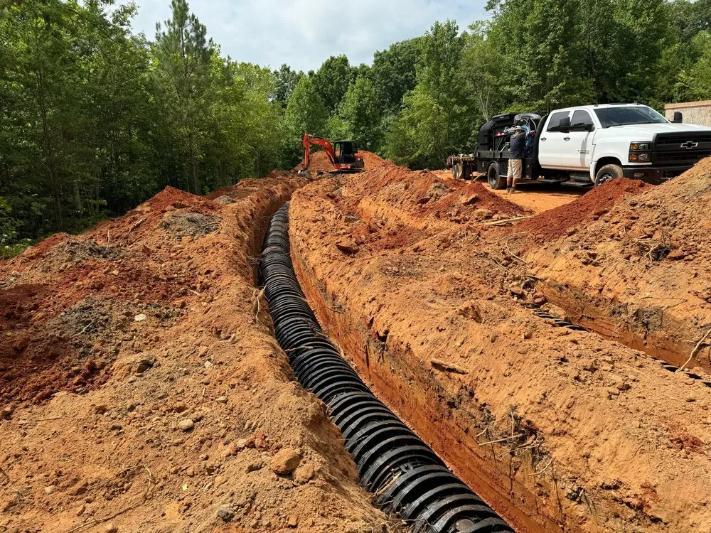 Top-rated yard maintenance for year-round maintenance across Dahlonega, GA - BP Septic