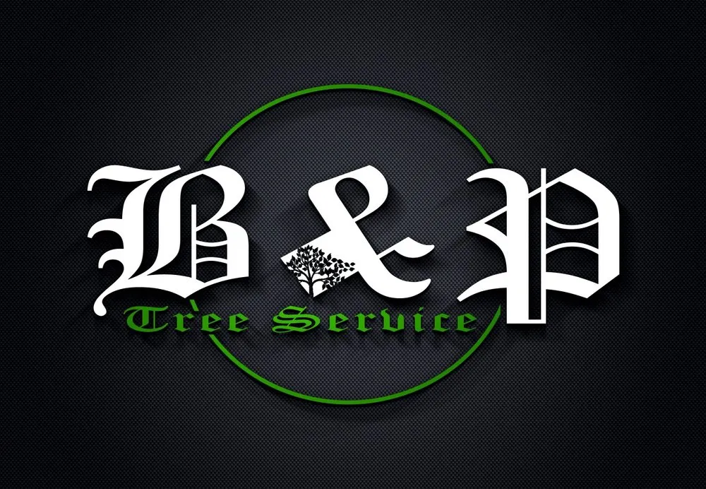 Trusted outdoor landscaping for year-round maintenance in Medford, MA by B&P Tree And Landscape