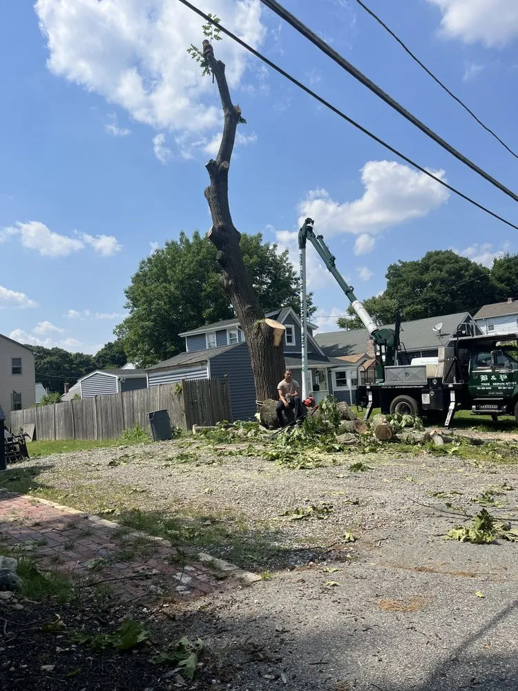 Affordable residential landscaping with custom design across Medford, MA - B&P Tree And Landscape