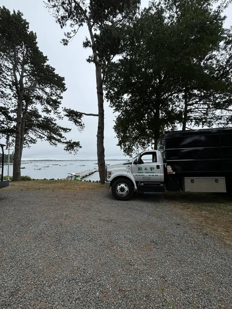 Affordable garden landscaping in Medford, MA by B&P Tree And Landscape