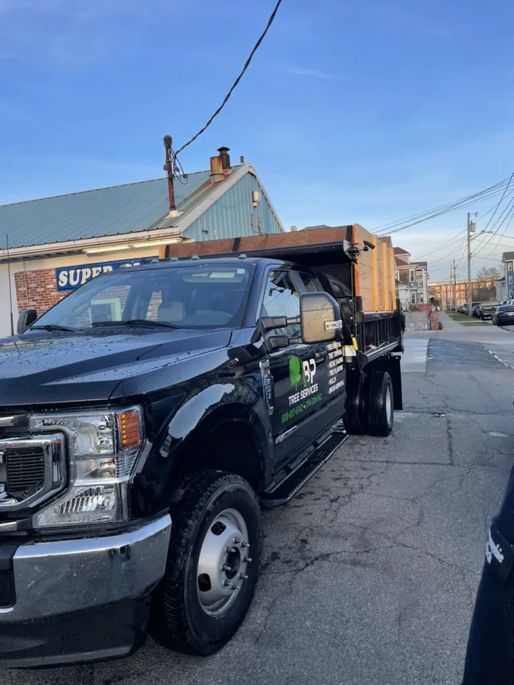 Trusted landscape installation in New Bedford, MA by B&P tree service