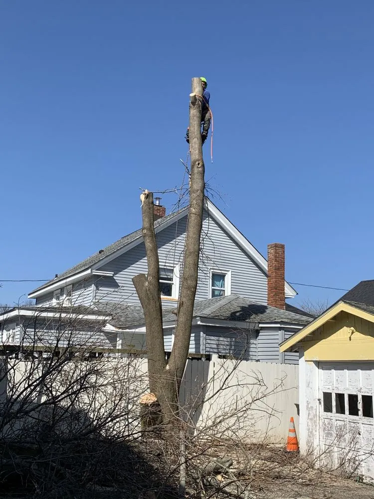 Expert lawn care service experts serving New Bedford, MA - B&P tree service