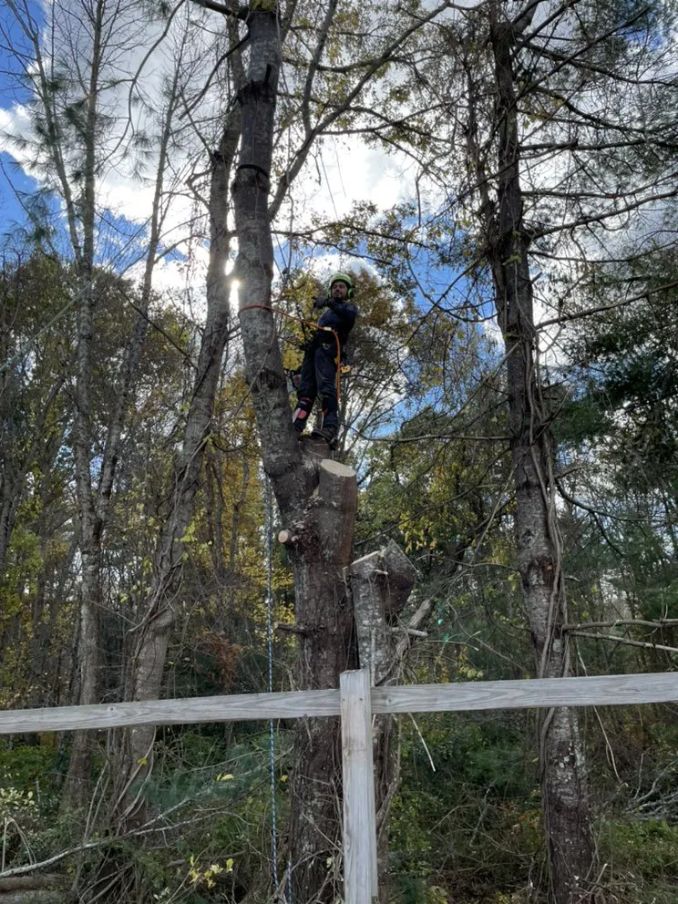 Affordable lawn mowing service in New Bedford, MA - B&P tree service