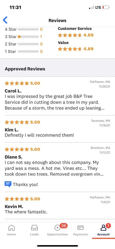 Trusted yard cleanup service near you across New Bedford, MA - B&P tree service