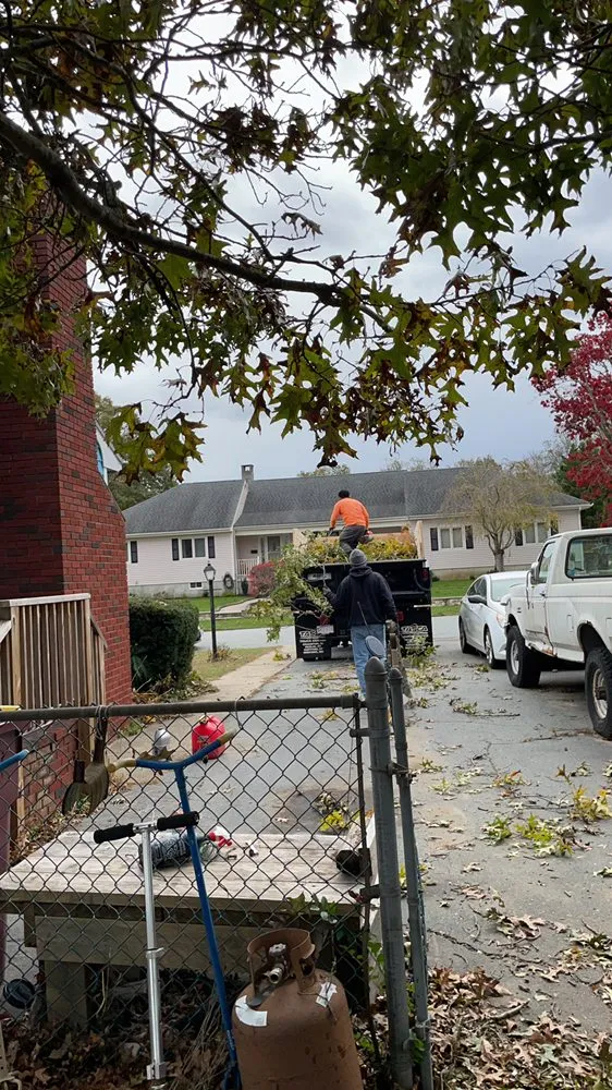 Trusted lawn mowing service for outdoor upgrades in New Bedford, MA by B&P tree service