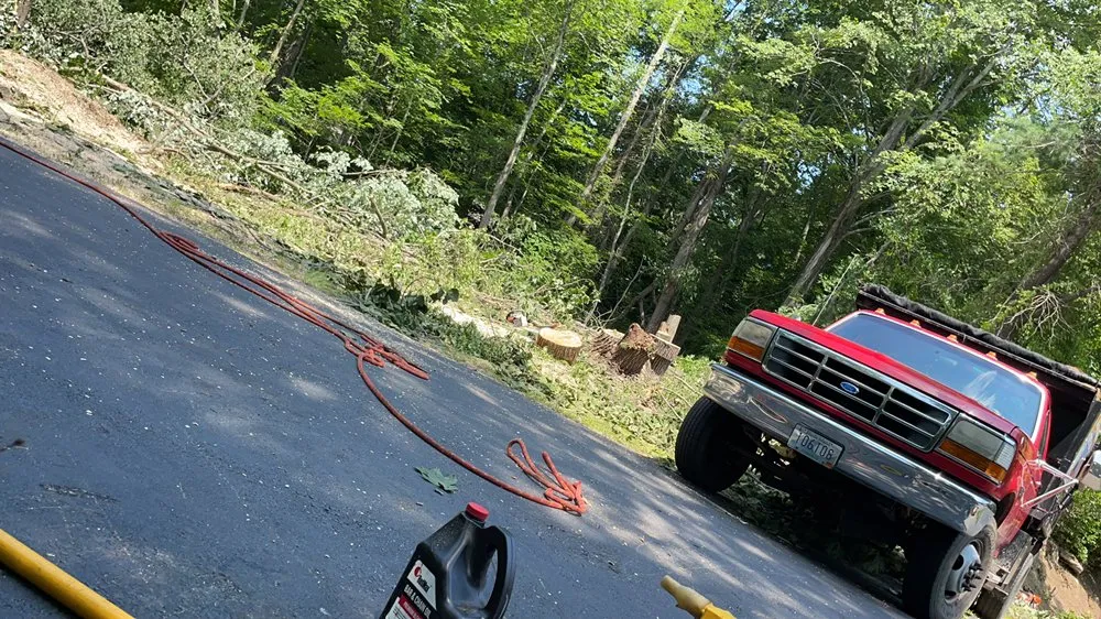 Top-rated residential landscaping experts serving New Bedford, MA - B&P tree service