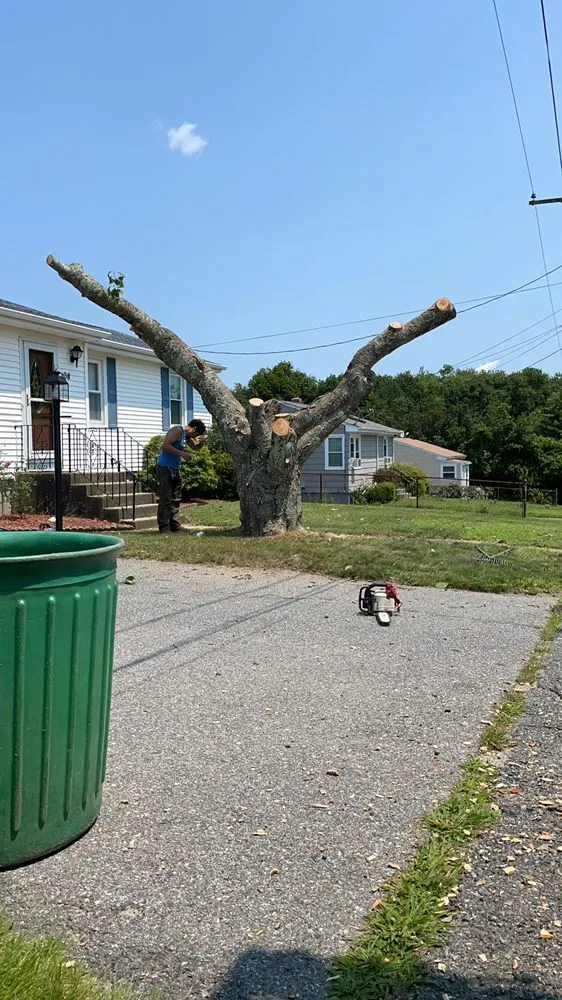 Top-rated outdoor landscaping experts serving New Bedford, MA - B&P tree service