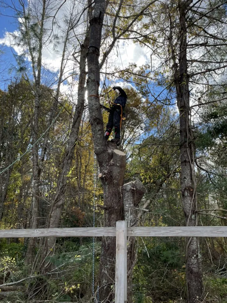 Top-rated landscaping services experts serving New Bedford, MA - B&P tree service