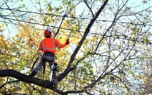 Expert outdoor landscaping experts serving Lewiston, ME - BPL Contracting