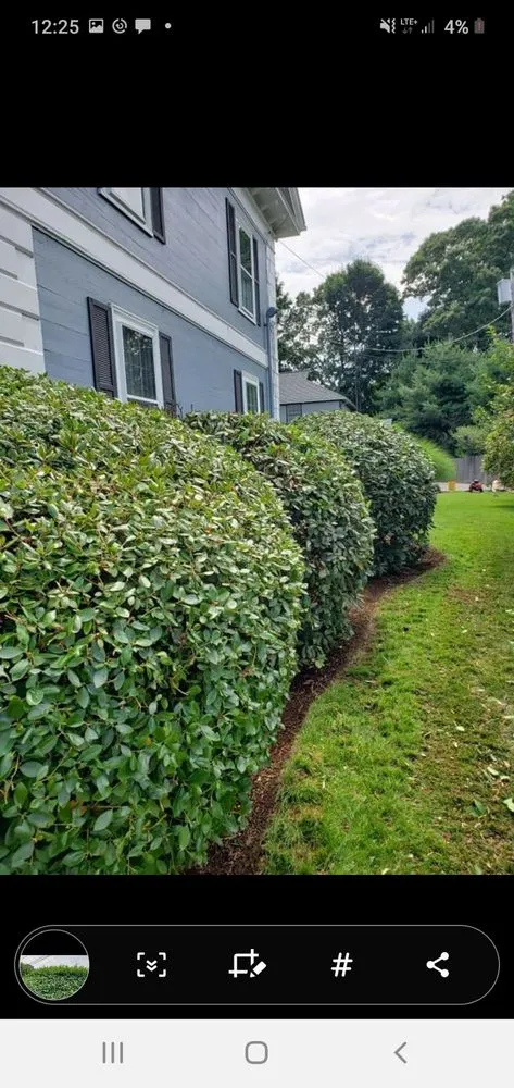 Affordable garden landscaping for outdoor upgrades in Medway, MA by BP Landscape And Design