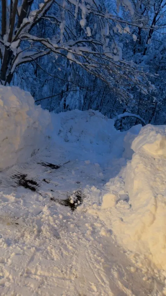 Professional landscaping services for residential properties in Adams Center, NY by BPM Enterprises