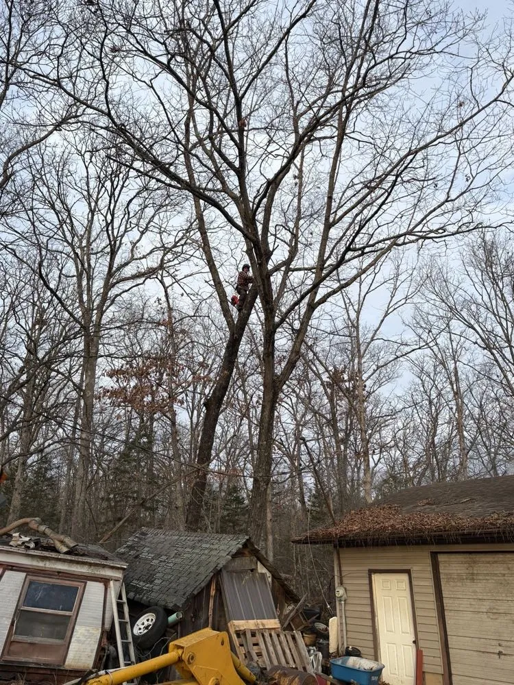 Affordable yard cleanup service for outdoor upgrades in Caledonia, MO by BPM Landscaping