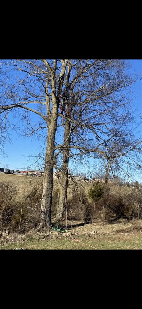 Professional yard cleanup service in Caledonia, MO - BPM Landscaping