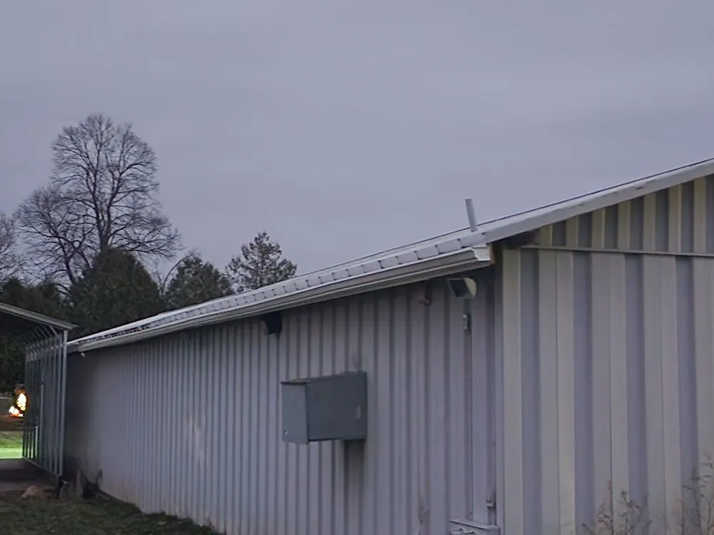 Affordable yard cleanup service in Remus, MI - BPM Restoration and Remodel