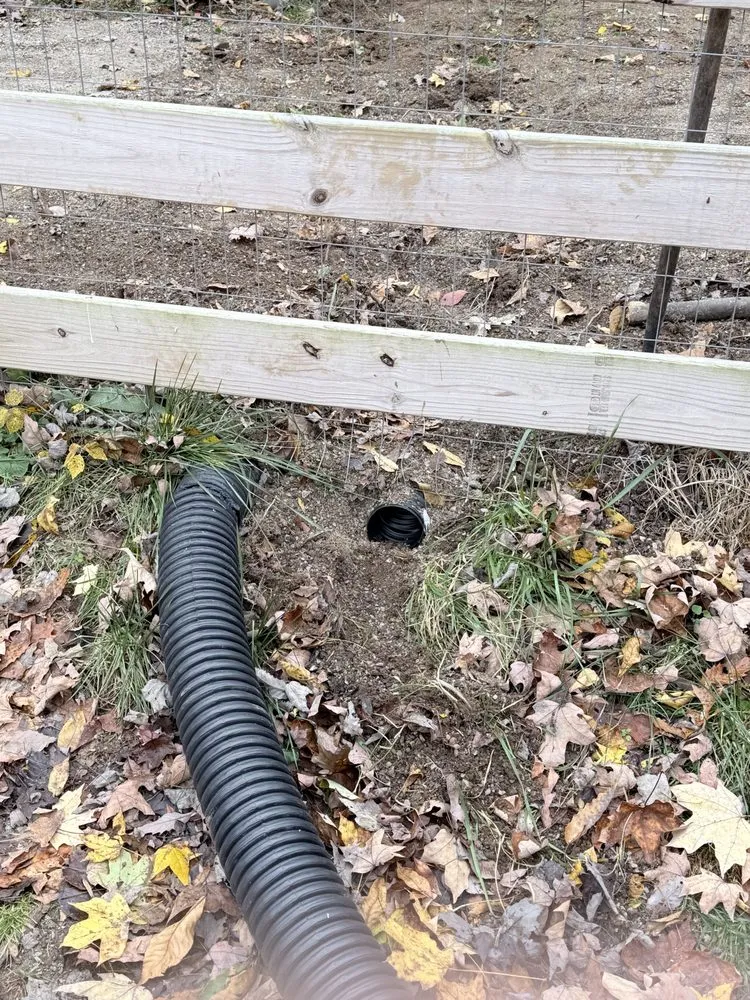 Top-rated garden landscaping near you across Charlotte, TN - BPs