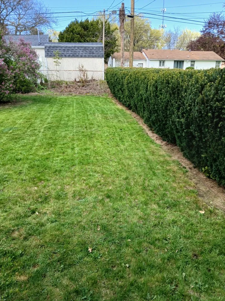 Local yard cleanup service in Rochester, NY - BPS Lawncare Service & Handyman