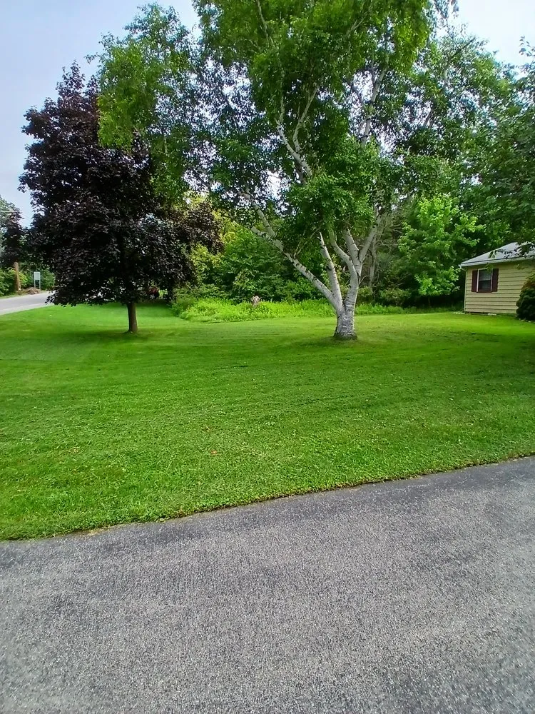 Professional yard cleanup service near you across Rochester, NY - BPS Lawncare Service & Handyman