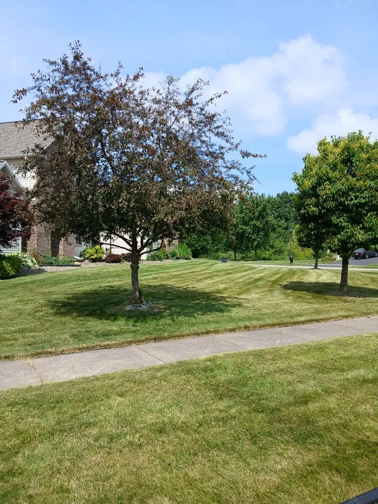 Reliable yard maintenance in Rochester, NY - BPS Lawncare Service & Handyman