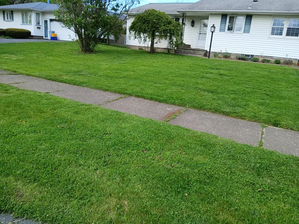 Expert outdoor landscaping for beautiful yards across Rochester, NY - BPS Lawncare Service & Handyman