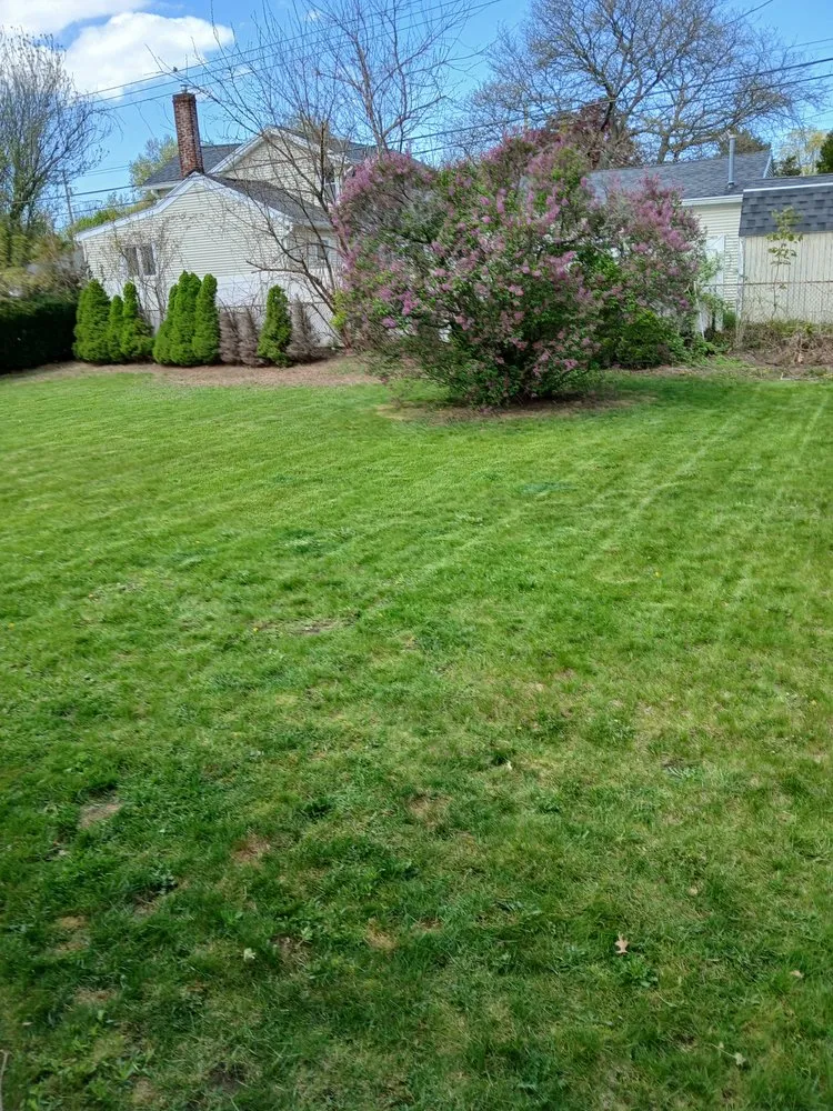 Professional landscape installation in Rochester, NY - BPS Lawncare Service & Handyman