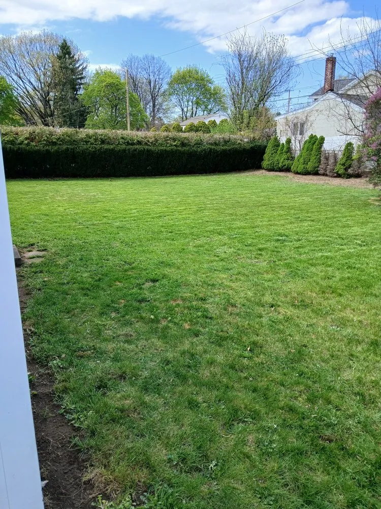 Affordable yard cleanup service near you in Rochester, NY by BPS Lawncare Service & Handyman