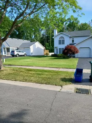 BPS Lawncare Service & Handyman Logo