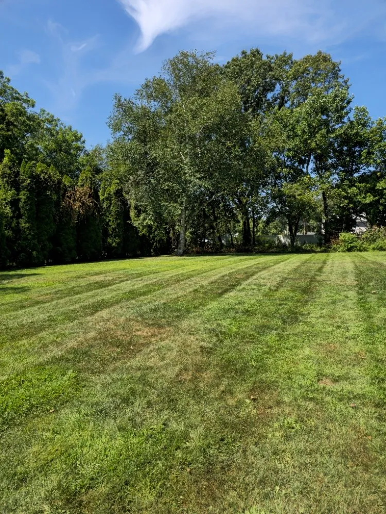 Local landscape design experts serving West Haven, CT - BQ Landscaping