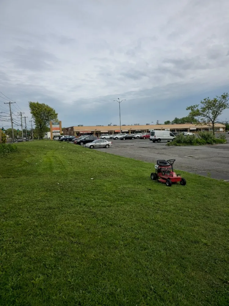 Professional landscaping services in West Haven, CT - BQ Landscaping