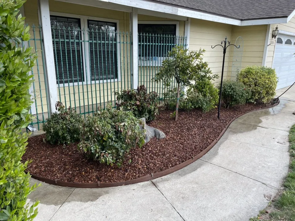 Trusted landscape installation for year-round maintenance across Fresno, CA - Bqc Landscaping