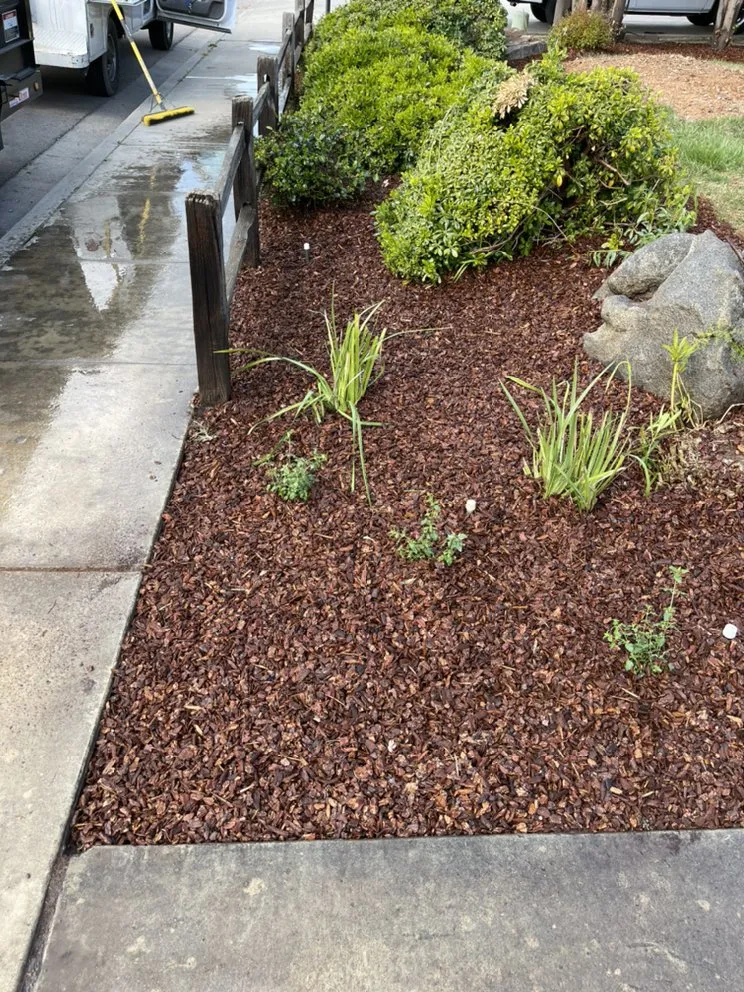 Expert outdoor landscaping for homes in Fresno, CA by Bqc Landscaping