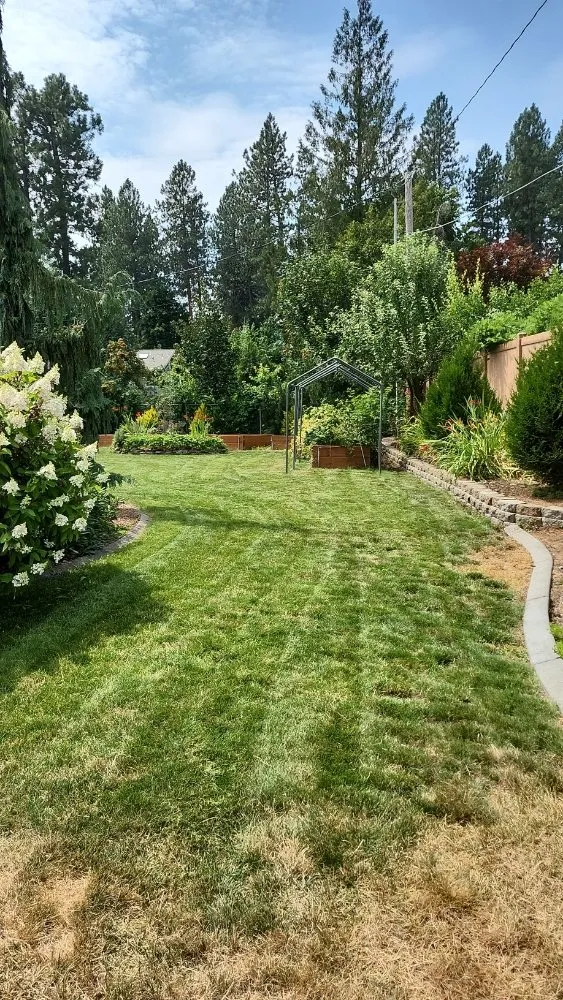 Affordable yard cleanup service in Wallace, ID - BR Construction