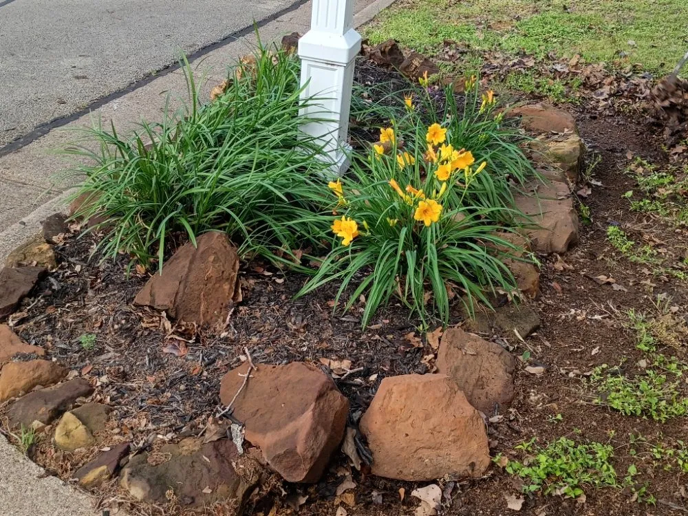 Expert garden landscaping in Arlington, TX - B&R Grasscutting & Lawn Maintenance