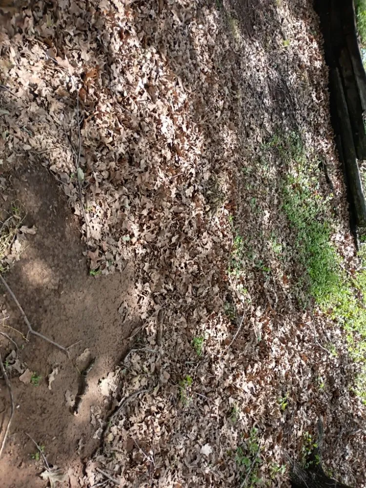 Local landscape installation experts serving Arlington, TX - B&R Grasscutting & Lawn Maintenance