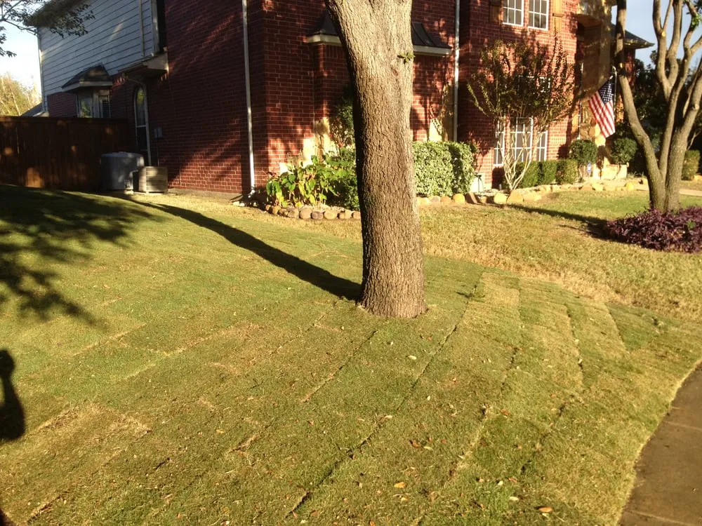 Reliable lawn mowing service in Lewisville, TX by BR Green Lawn Care