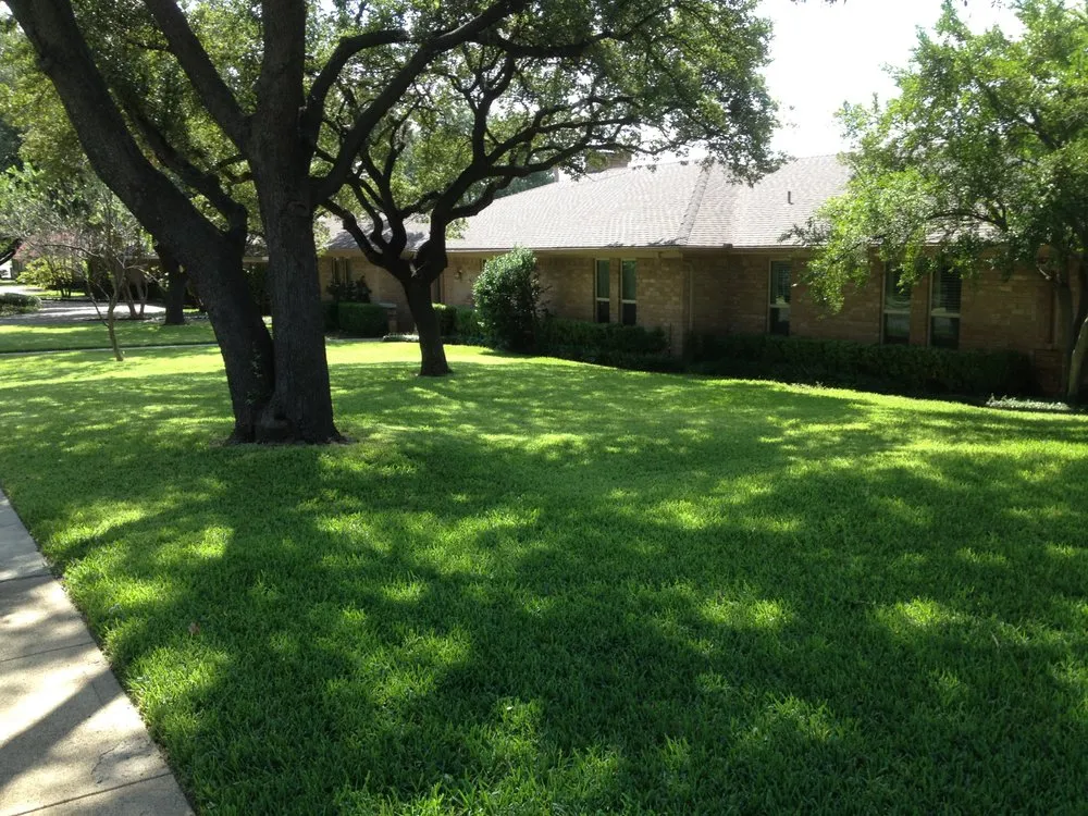 Top-rated yard cleanup service in Lewisville, TX - BR Green Lawn Care