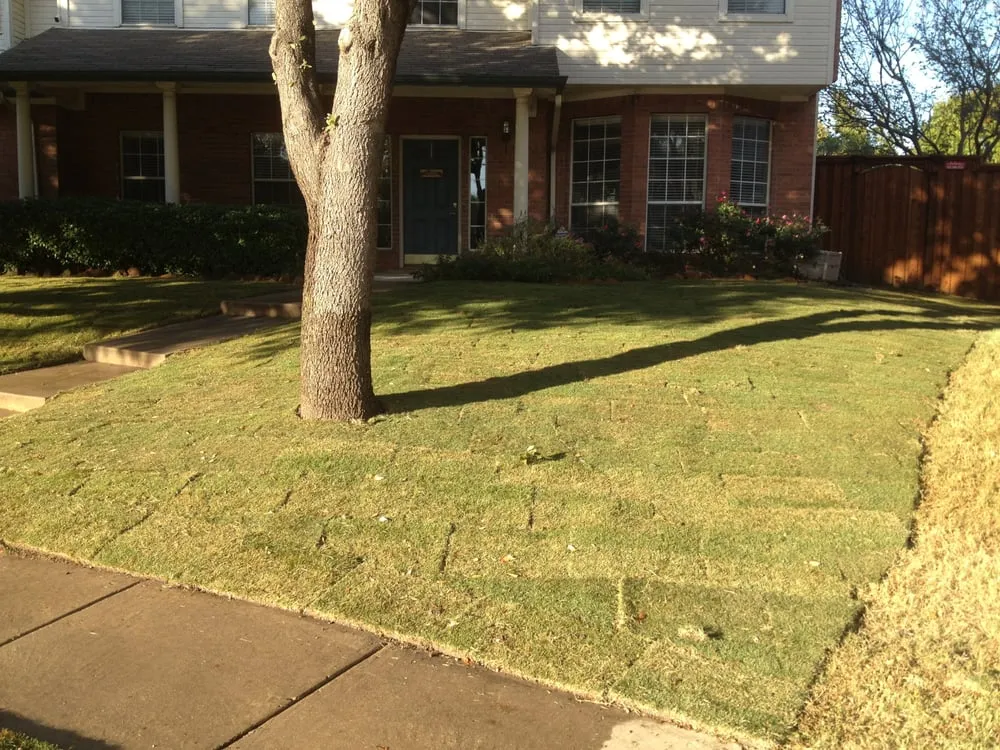 Top-rated landscaping services for year-round maintenance across Lewisville, TX - BR Green Lawn Care