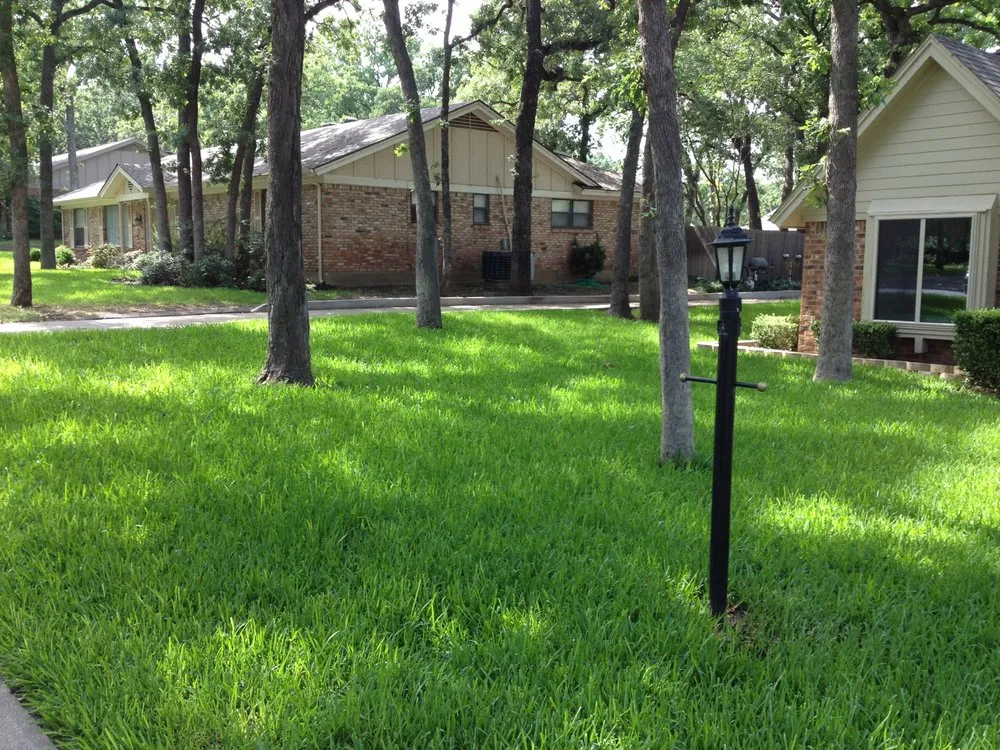 Professional outdoor landscaping experts serving Lewisville, TX - BR Green Lawn Care