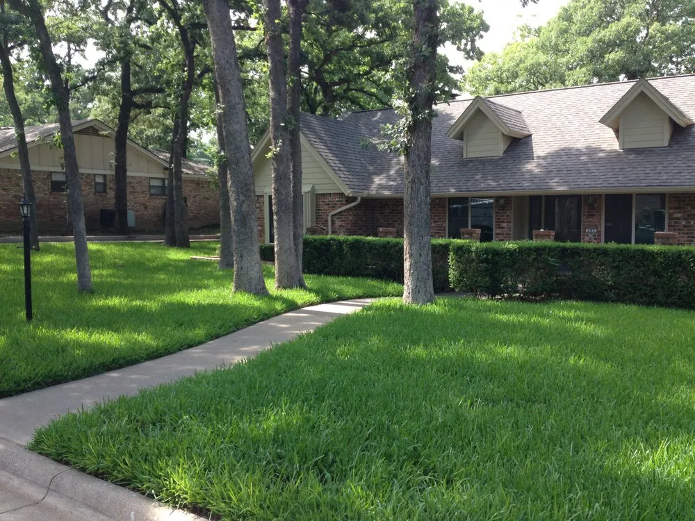 Expert yard cleanup service experts serving Lewisville, TX - BR Green Lawn Care