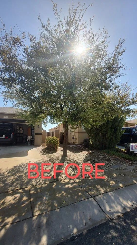 Professional landscape installation in Chino Valley, AZ - B&R Junk Hauling and Tractor Service