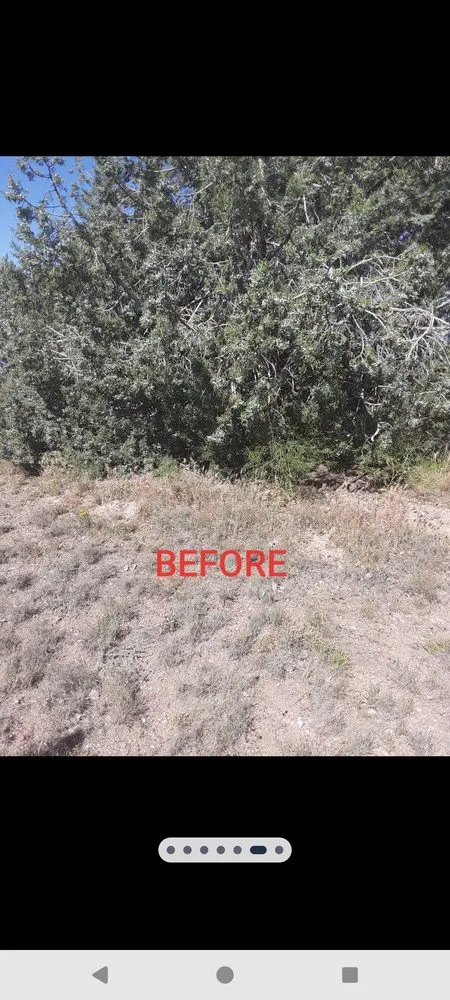 Local yard cleanup service in Chino Valley, AZ - B&R Junk Hauling and Tractor Service