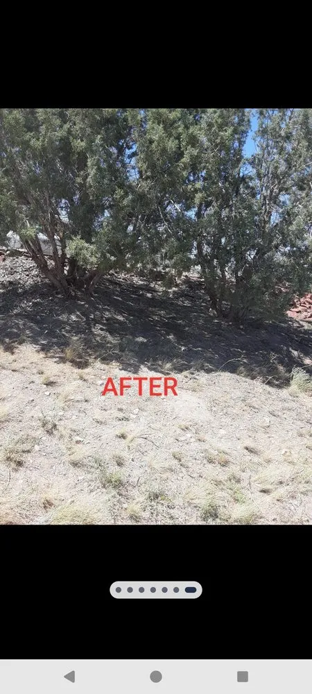 Expert lawn mowing service with custom design across Chino Valley, AZ - B&R Junk Hauling and Tractor Service