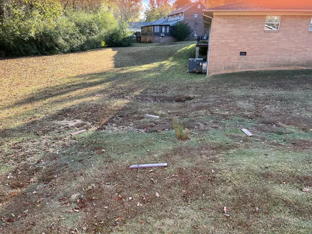 Professional yard cleanup service for year-round maintenance in Lavinia, TN by BR Landscaping & Lighting