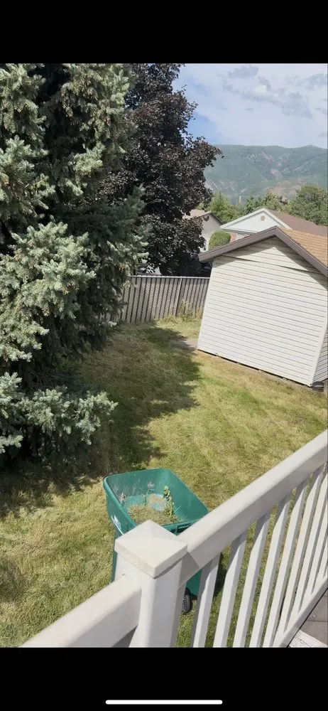 Expert lawn care service in Layton, UT - B&R Landscaping